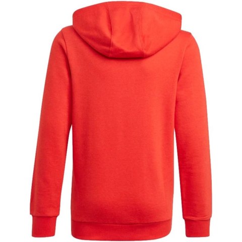 Bluza adidas Essentials Big Logo Hoodie Jr GN4037