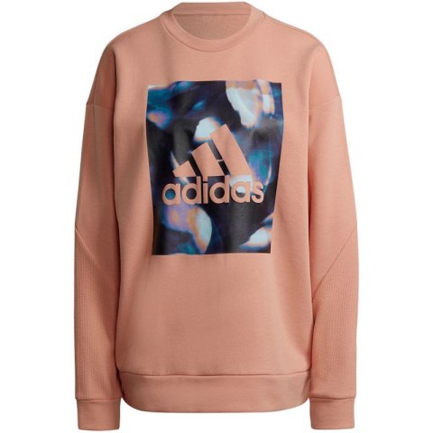 Bluza adidas Youforyou Sweatshirt W HA2431 Bluza adidas Youforyou Sweatshirt W HA2431