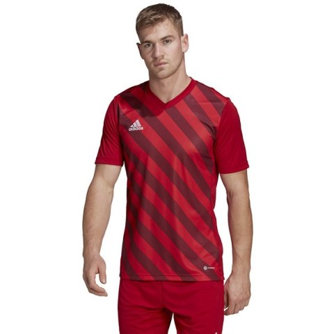 Koszulka adidas Entrada 22 Graphic Jersey M HB0572 Koszulka adidas Entrada 22 Graphic Jersey M HB0572