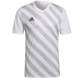 Koszulka adidas Entrada 22 Graphic Jersey M HF0129