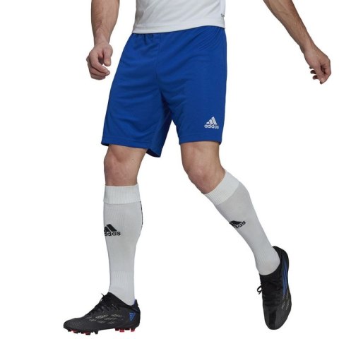 Spodenki adidas Entrada 22 M HG6294 Spodenki adidas Entrada 22 M HG6294