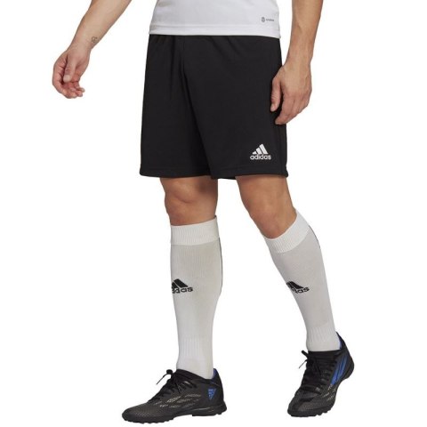Spodenki adidas Entrada 22 Training Short M HB0575 Spodenki adidas Entrada 22 Training Short M HB0575