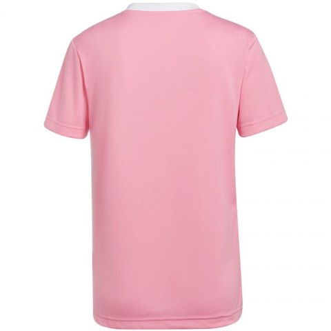 Koszulka adidas Entrada 22 Jersey W HC5075 Koszulka adidas Entrada 22 Jersey W HC5075