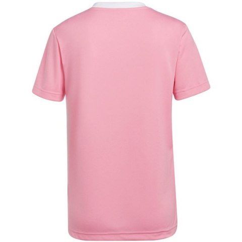 Koszulka adidas Entrada 22 Jersey W HC5075 Koszulka adidas Entrada 22 Jersey W HC5075