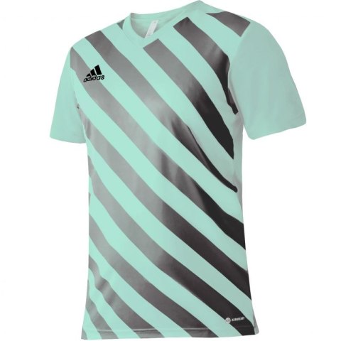 Koszulka adidas Entrada 22 Graphic Jersey M HF0119 Koszulka adidas Entrada 22 Graphic Jersey M HF0119