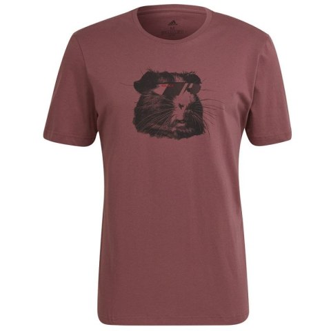 Koszulka adidas 5.10 Glory Tee M H59754 Koszulka adidas 5.10 Glory Tee M H59754