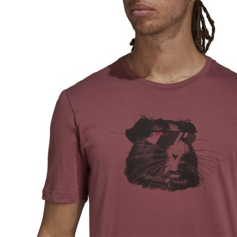 Koszulka adidas 5.10 Glory Tee M H59754 Koszulka adidas 5.10 Glory Tee M H59754
