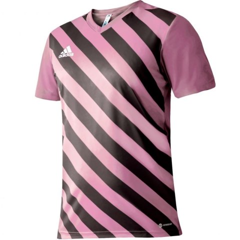 Koszulka adidas Entrada 22 Graphic Jersey Jr HC2632 Koszulka adidas Entrada 22 Graphic Jersey Jr HC2632