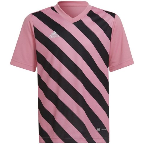Koszulka adidas Entrada 22 Graphic Jersey Jr HC2632 Koszulka adidas Entrada 22 Graphic Jersey Jr HC2632
