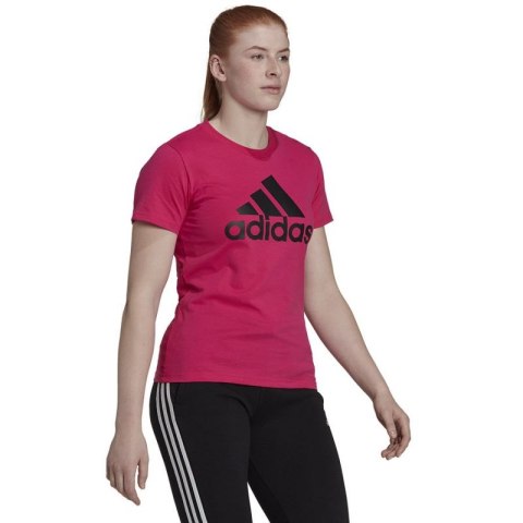 Koszulka adidas Big Logo Tee W HL2030 Koszulka adidas Big Logo Tee W HL2030