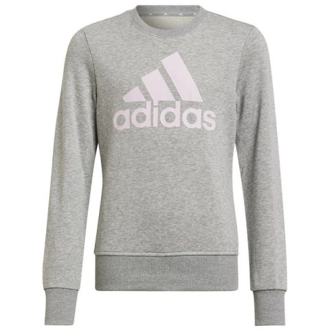 Bluza adidas Big Logo Swt Jr HM8706 Bluza adidas Big Logo Swt Jr HM8706