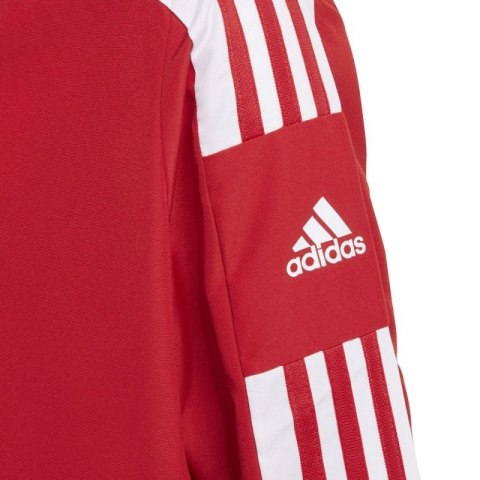 Bluza adidas Squadra 21 Presentation Jacket Jr GP6439 Bluza adidas Squadra 21 Presentation Jacket Jr GP6439