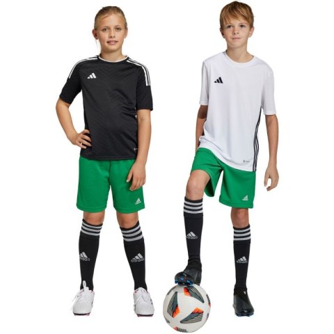 Spodenki adidas Entrada 22 Jr IC7410 Spodenki adidas Entrada 22 Jr IC7410