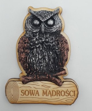 Magnes sowa mądrości 9cm 135