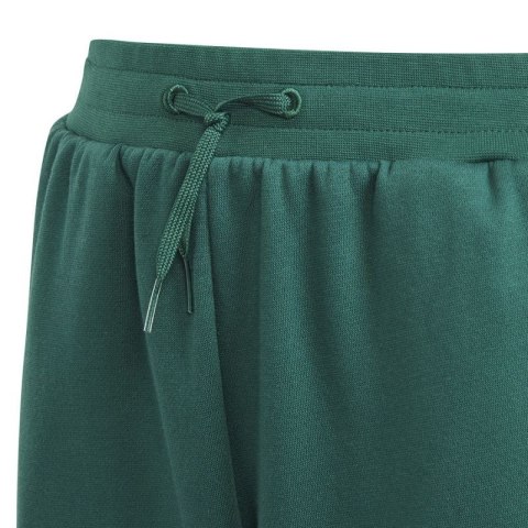 Spodnie adidas BLUV Q3 Pant Jr IA1553 Spodnie adidas BLUV Q3 Pant Jr IA1553