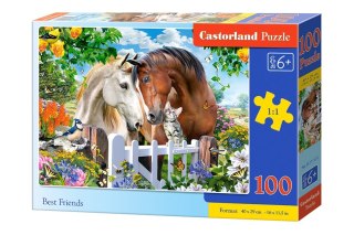 Puzzle 100 el. Najlepsi przyjaciele Castorland B-111121