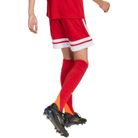 Spodenki adidas Squadra 25 Jr JJ2416 Spodenki adidas Squadra 25 Jr JJ2416