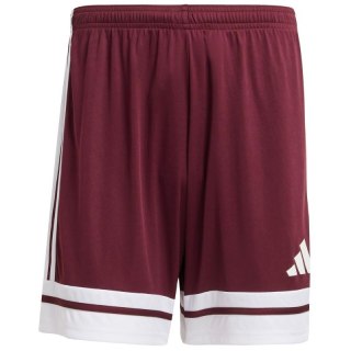 Spodenki adidas Squadra 25 M JC8677