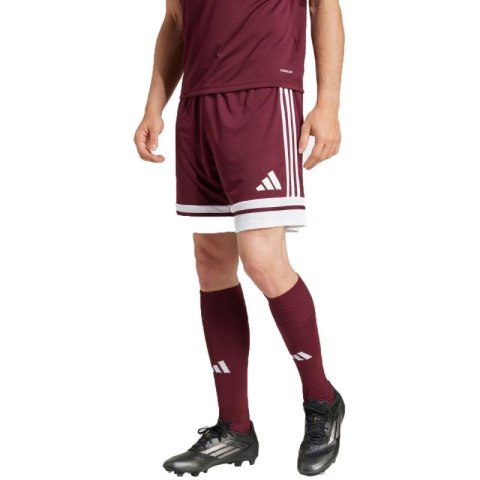 Spodenki adidas Squadra 25 M JC8677