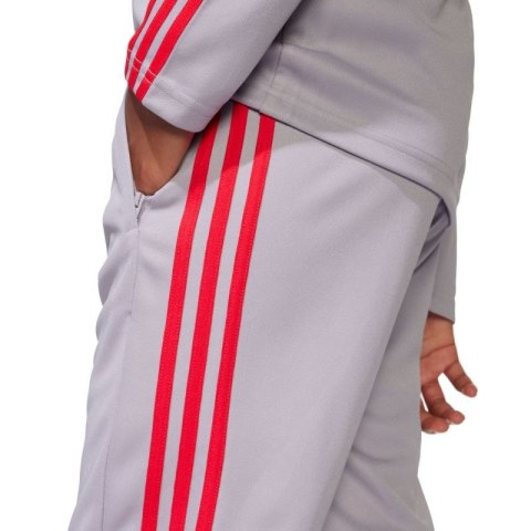 Spodnie adidas Squadra 25 Training Jr JP3369