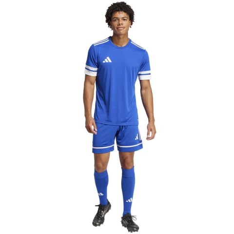 Spodenki adidas Squadra M 25 Short JN5465 Spodenki adidas Squadra M 25 Short JN5465
