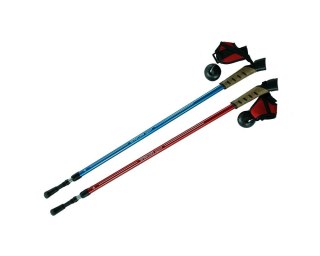 Kijki Trekkingowe Nordic Walking SPARTAN