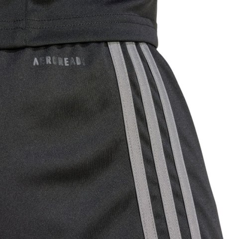 Spodenki adidas Squadra 25 M JN4447 Spodenki adidas Squadra 25 M JN4447