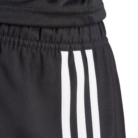 Spodenki adidas Tastigo 25 M JN7155 Spodenki adidas Tastigo 25 M JN7155