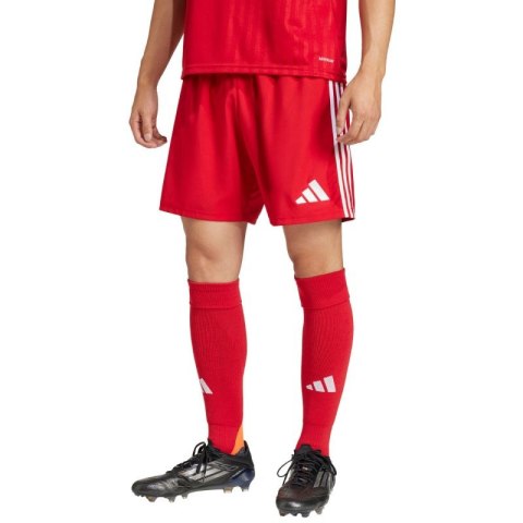 Spodenki adidas Tastigo 25 M JN7157 Spodenki adidas Tastigo 25 M JN7157
