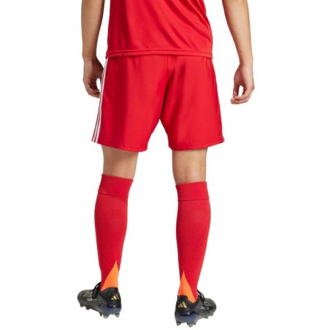 Spodenki adidas Tastigo 25 M JN7157 Spodenki adidas Tastigo 25 M JN7157
