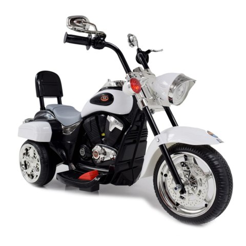 MOTOR CHOPPER Z OPARCIEM, WARKIEM SILNIKA/TR1501 MOTOR CHOPPER Z OPARCIEM, WARKIEM SILNIKA/TR1501