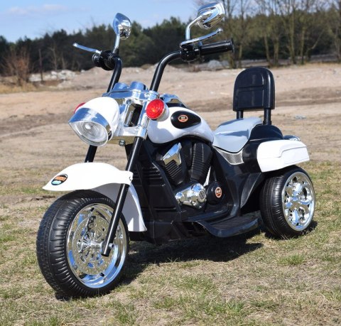 MOTOR CHOPPER Z OPARCIEM, WARKIEM SILNIKA/TR1501 MOTOR CHOPPER Z OPARCIEM, WARKIEM SILNIKA/TR1501
