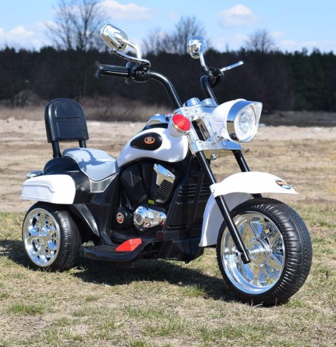 MOTOR CHOPPER Z OPARCIEM, WARKIEM SILNIKA/TR1501 MOTOR CHOPPER Z OPARCIEM, WARKIEM SILNIKA/TR1501