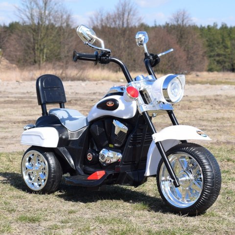 MOTOR CHOPPER Z OPARCIEM, WARKIEM SILNIKA/TR1501 MOTOR CHOPPER Z OPARCIEM, WARKIEM SILNIKA/TR1501
