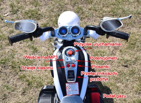MOTOR CHOPPER Z OPARCIEM, WARKIEM SILNIKA/TR1501 MOTOR CHOPPER Z OPARCIEM, WARKIEM SILNIKA/TR1501