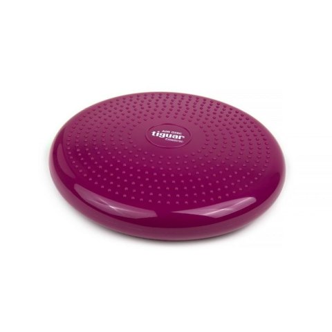 Dysk stabilizujący tiguar (air disc) DR-GT0001 Dysk stabilizujący tiguar (air disc) DR-GT0001