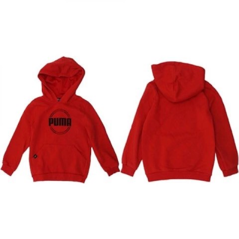 Bluza Puma DCT Hoodie Jr 849258 11