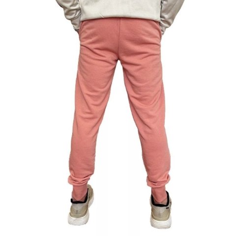 Spodnie Puma Ess+ 2 Col Logo M 586768 62