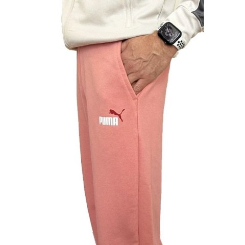 Spodnie Puma Ess+ 2 Col Logo M 586768 62
