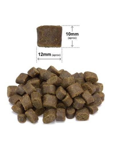 [ENG] PRÓBKA ARQUIVET FRESH Półwilgotna karma dla psa ryba oceaniczna 100 g