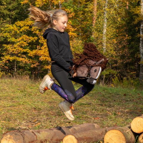 Hobby horse Skippi gniady koń kiju duży A3 kantar