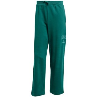 Spodnie adidas Collegiate M JM9178
