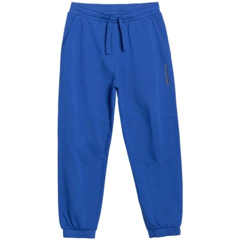 Spodnie 4F CAS Jr 4FJWSS25TTROM0965 36S