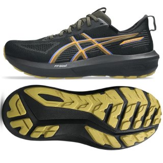 Buty do biegania Asics GT-1000 14 GTX M 1011C078 001