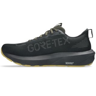 Buty do biegania Asics GT-1000 14 GTX M 1011C078 001