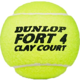Piłki do tenisa ziemnego Dunlop Fort Clay Court 4szt 601613