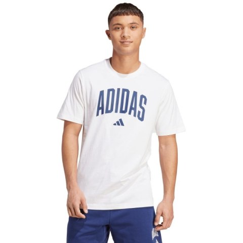 Koszulka adidas Collegiate Lineage Graphic M JM6416