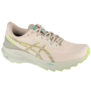 Buty Asics GT-1000 13 TR M 1011C043-300