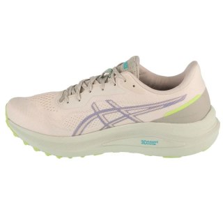 Buty Asics GT-1000 13 TR M 1011C043-300